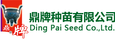 泽人传媒