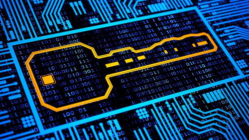 向敏 鏡花水月的場景如何催眠區(qū)塊鏈價(jià)值創(chuàng)造的核心與未來企業(yè)網(wǎng)絡(luò)技術(shù)服務(wù)